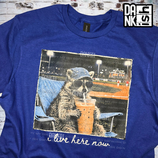 I Live Here Now- Baseball