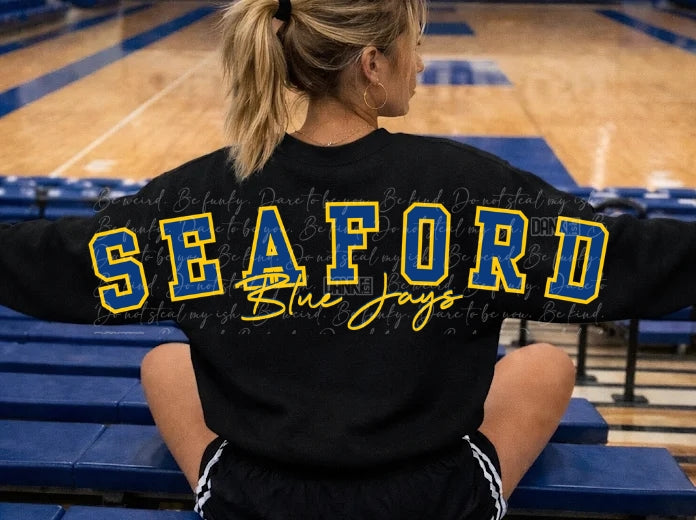 Seaford Blue Jays Big Back