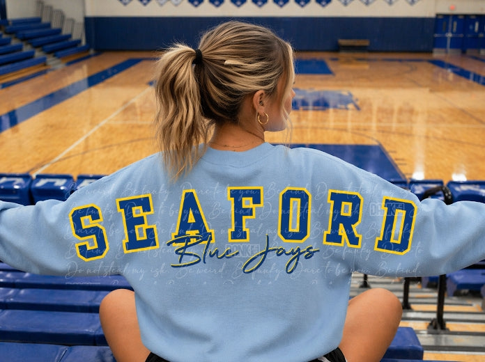 Seaford Blue Jays Big Back