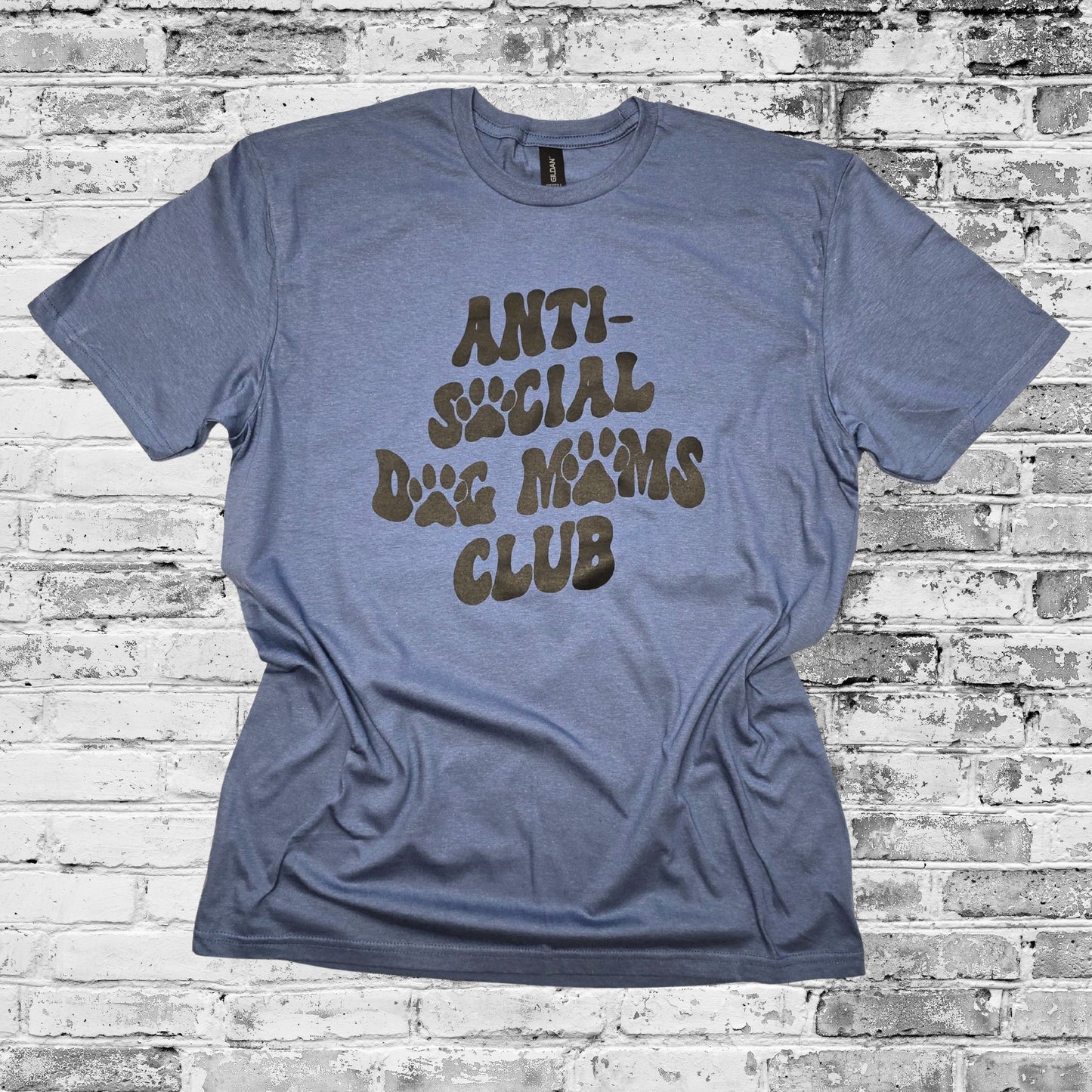Anti-Social Dog Moms Club